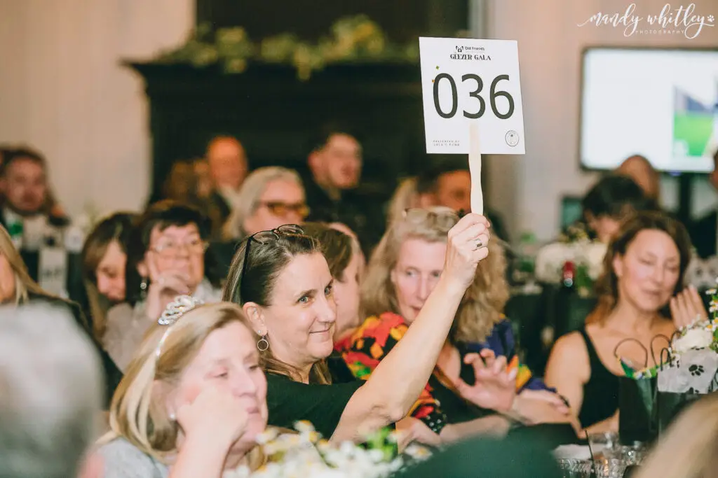 Treemont Mansion Auction