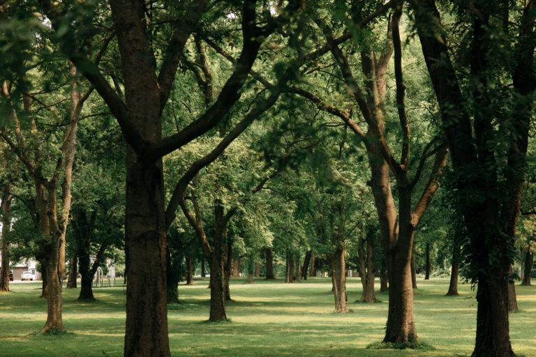 Wedding Venues Mt Juliet Couples Should Tour